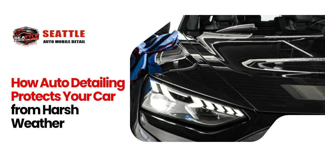 Affordable Auto Detailing Seattle WA